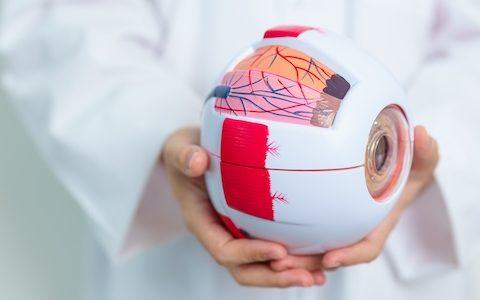 Optometry recognised as essential in diabetes care