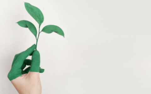 Optometry Australia resolves to improve sustainability within the sector