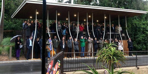 attendees watch giraffe from cover