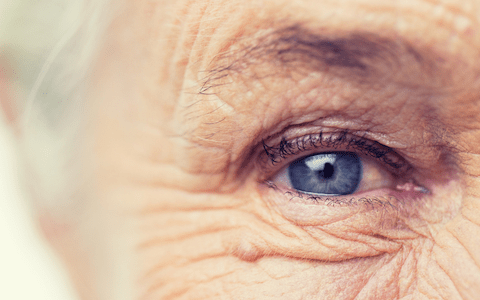 EOIs open for new Aged Care Eye Health Advisory Group