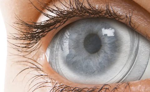 Pharma Open Access: Looking into the future – the biological contact lens bandage