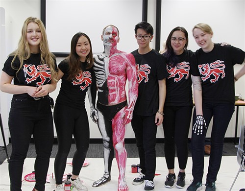 human medical model and UTas students - online