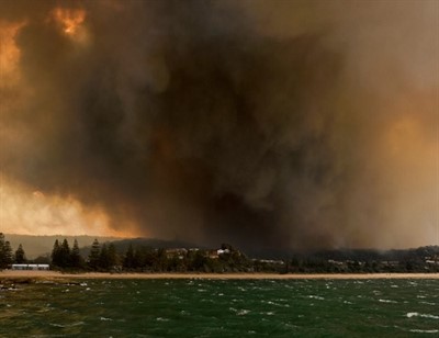 Tathra -fires -walsh