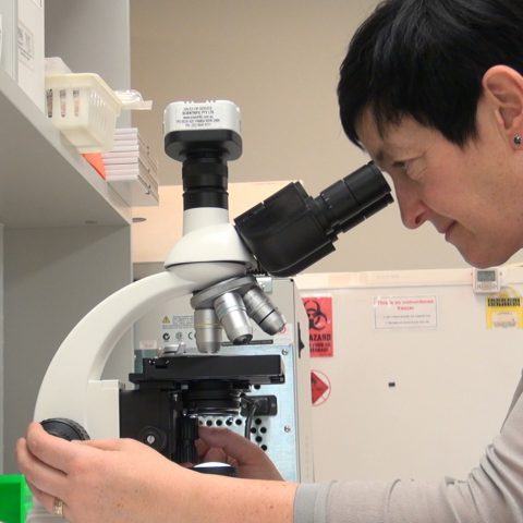 Ocular syphilis re-emerging; test all with uveitis